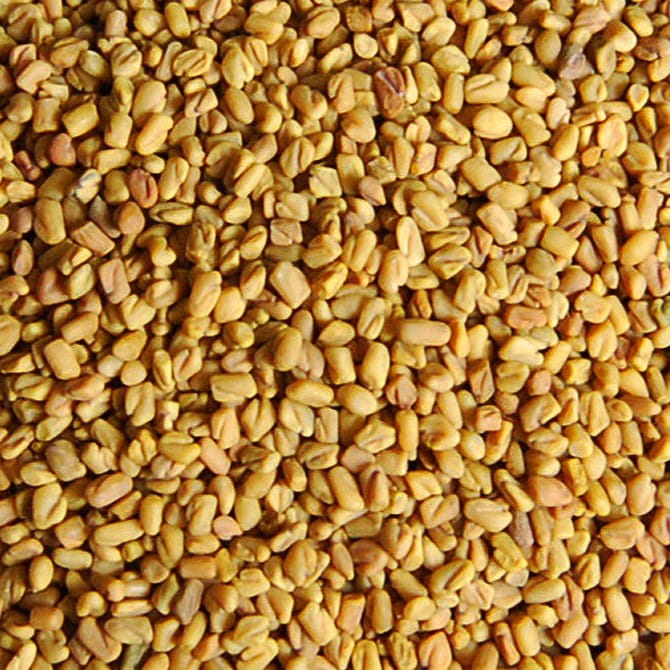 Fenugreek Seeds