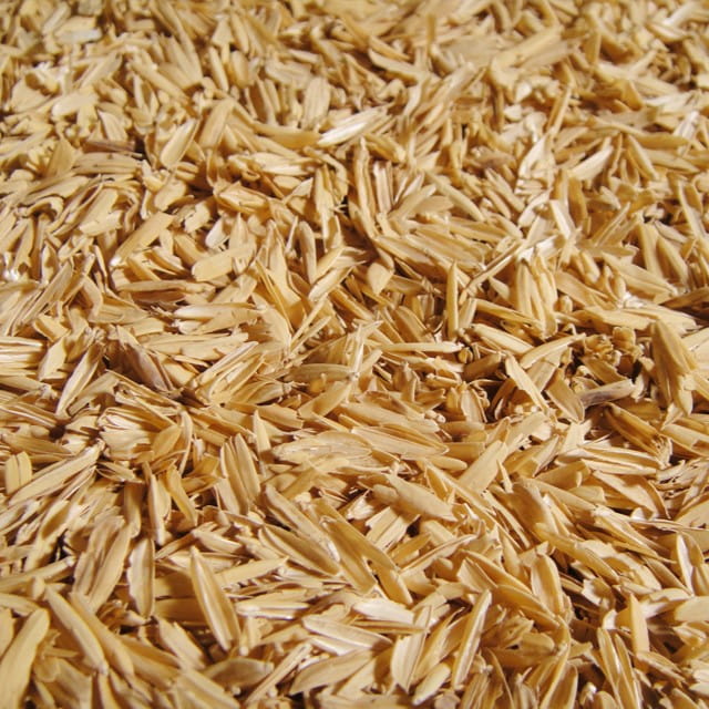 Rice Husks
