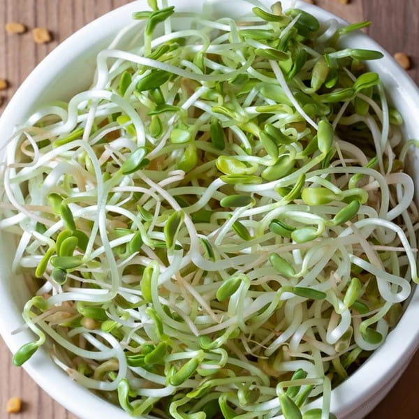 Sprouting Seeds